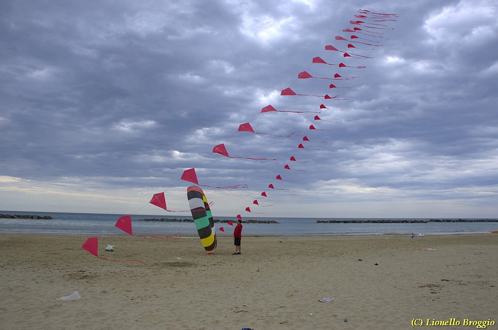 DSC_5102.jpg
