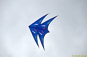 DSC_4949